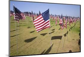 US Flags for 9/11 Memorial-Joseph Sohm-Mounted Photographic Print