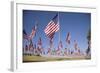 US Flags for 9/11 Memorial-Joseph Sohm-Framed Photographic Print