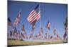 US Flags for 9/11 Memorial-Joseph Sohm-Mounted Photographic Print