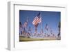 US Flags for 9/11 Memorial-Joseph Sohm-Framed Photographic Print