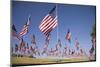 US Flags for 9/11 Memorial-Joseph Sohm-Mounted Photographic Print