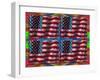 US Flags-Howie Green-Framed Giclee Print
