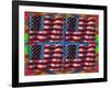 US Flags-Howie Green-Framed Giclee Print