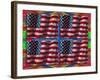 US Flags-Howie Green-Framed Giclee Print