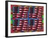 US Flags-Howie Green-Framed Giclee Print