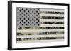 US Greatness-null-Framed Art Print