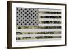 US Greatness-null-Framed Art Print