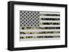 US Greatness-null-Framed Art Print