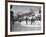 US Hockey Team Playing the Swiss at the Winter Olympics-null-Framed Photographic Print