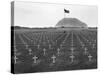 US Marine Cemetery on Iwo Jima-null-Stretched Canvas