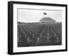 US Marine Cemetery on Iwo Jima-null-Framed Premium Photographic Print