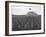 US Marine Cemetery on Iwo Jima-null-Framed Photographic Print