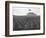 US Marine Cemetery on Iwo Jima-null-Framed Photographic Print