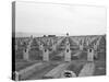 US Marine Corps Cemetery-Edward Steichen-Stretched Canvas