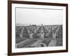 US Marine Corps Cemetery-Edward Steichen-Framed Photographic Print