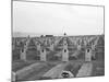 US Marine Corps Cemetery-Edward Steichen-Mounted Photographic Print