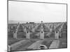 US Marine Corps Cemetery-Edward Steichen-Mounted Photographic Print
