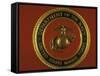 US Marine Corps Seal-null-Framed Stretched Canvas