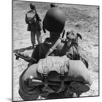 US Marine Jesse Goin Carrying His Dog Towards the Front During the Fighting on Kwajalein-George Strock-Mounted Photographic Print