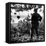 US Marine Looking at Bodies of Dead Japanese Soldiers Killed During Battle For Control of Saipan-W^ Eugene Smith-Framed Stretched Canvas