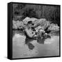 US Marine Rifleman Relaxes in a Cool Mountain Stream, Vietnam, 1968-null-Framed Stretched Canvas