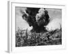 US Marines Crouching Behind Hillside Rock Cover, Blowing Up Cave Connected to Japanese Blockhouse-W^ Eugene Smith-Framed Photographic Print