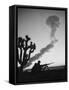 Us Marines During Atomic Bomb Testing-null-Framed Stretched Canvas