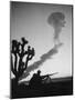 Us Marines During Atomic Bomb Testing-null-Mounted Photo