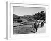 US Marines March Towards the Front Lines During the Fight to Take the Island of Okinawa-null-Framed Photographic Print