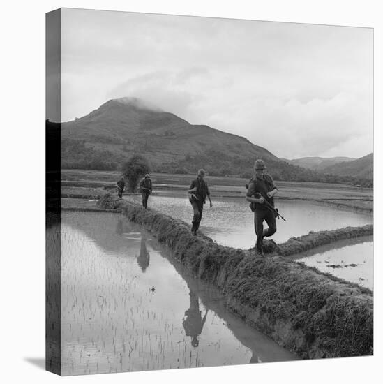 US Marines Move Along Rice Paddy Dikes in Pursuit of Viet Cong, Dec. 1965-null-Stretched Canvas