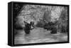 US Marines Move Through Water in Vietnam, July 1966-null-Framed Stretched Canvas