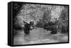 US Marines Move Through Water in Vietnam, July 1966-null-Framed Stretched Canvas