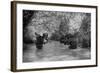 US Marines Move Through Water in Vietnam, July 1966-null-Framed Photo