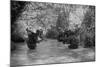US Marines Move Through Water in Vietnam, July 1966-null-Mounted Photo
