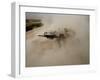 US Marines Return Fire on Taliban Positions Near the Town of Garmser in Afghanistan-null-Framed Photographic Print