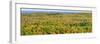 US, Michigan, Upper Peninsula. Panorama view of Porcupine Mountains Wilderness State Park-Julie Eggers-Framed Photographic Print