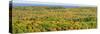 US, Michigan, Upper Peninsula. Panorama view of Porcupine Mountains Wilderness State Park-Julie Eggers-Stretched Canvas