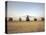 US Military Vehicles and Aircraft Lined Up on the Taxiway at Camp Speicher, Iraq-null-Stretched Canvas