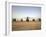 US Military Vehicles and Aircraft Lined Up on the Taxiway at Camp Speicher, Iraq-null-Framed Premium Photographic Print