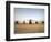 US Military Vehicles and Aircraft Lined Up on the Taxiway at Camp Speicher, Iraq-null-Framed Photographic Print