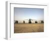 US Military Vehicles and Aircraft Lined Up on the Taxiway at Camp Speicher, Iraq-null-Framed Photographic Print