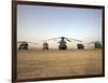 US Military Vehicles and Aircraft Lined Up on the Taxiway at Camp Speicher, Iraq-null-Framed Photographic Print