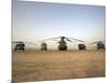 US Military Vehicles and Aircraft Lined Up on the Taxiway at Camp Speicher, Iraq-null-Mounted Photographic Print