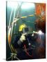 US Navy Diver-Stocktrek Images-Stretched Canvas