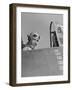 US Navy Flying Ace Lt. Edward H. O'Hare Sitting in His Plane-Ralph Morse-Framed Photographic Print