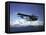 Us Navy Pby Catalina Bomber in Flight-null-Framed Stretched Canvas