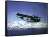 Us Navy Pby Catalina Bomber in Flight-null-Framed Stretched Canvas