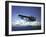 Us Navy Pby Catalina Bomber in Flight-null-Framed Premium Photographic Print