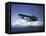 Us Navy Pby Catalina Bomber in Flight-null-Framed Stretched Canvas