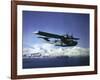 Us Navy Pby Catalina Bomber in Flight-null-Framed Photographic Print